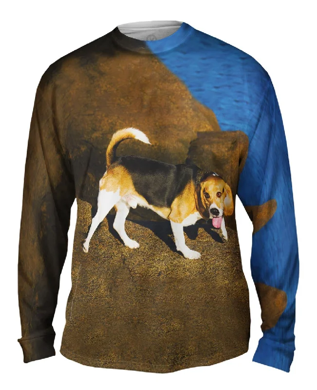 Casual Outerwear Beagle On Rocks